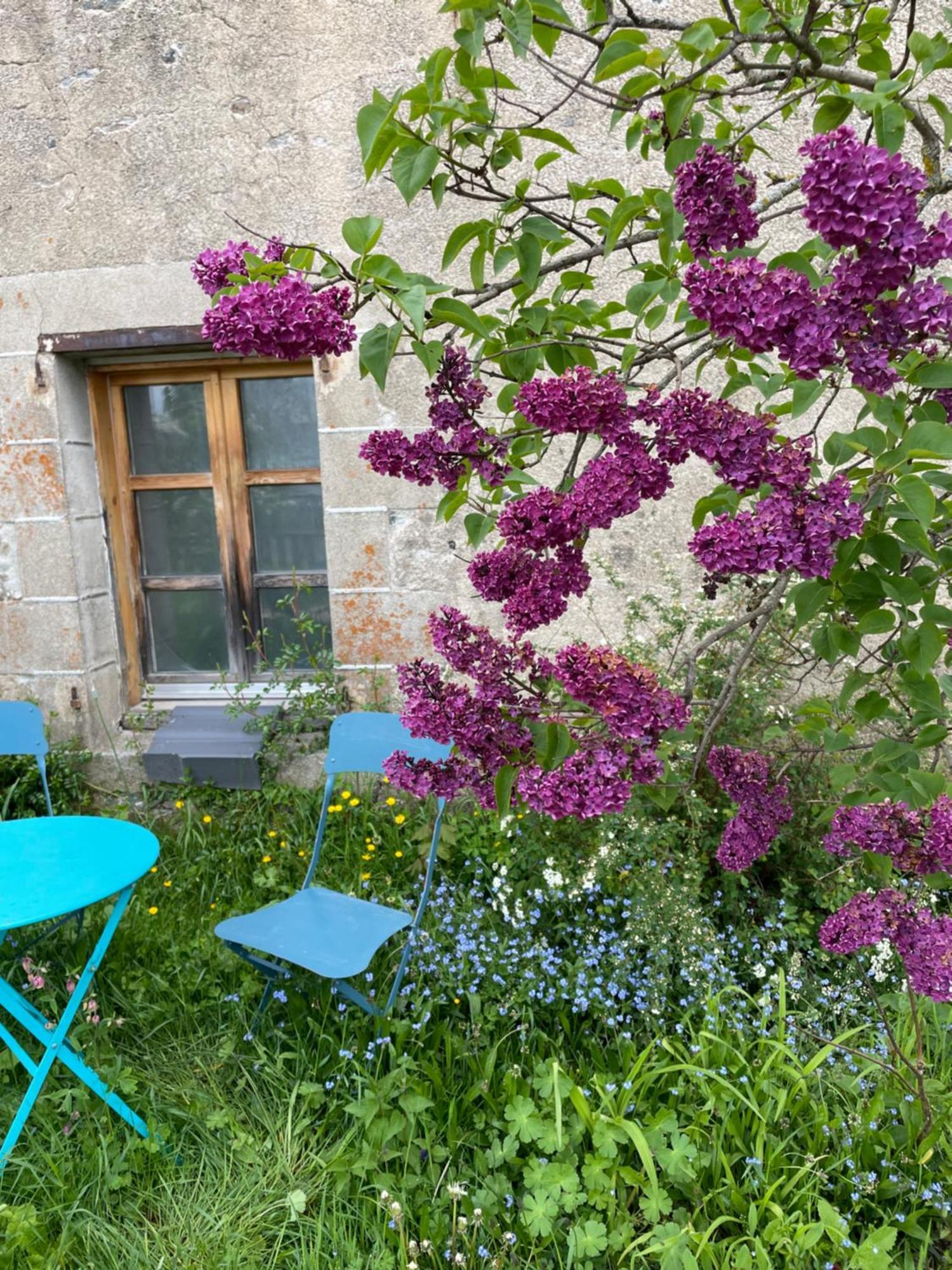 Chez Fabrice Bed and Breakfast Le Pertuis Εξωτερικό φωτογραφία